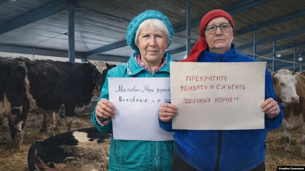Глава минсельхоза Новосибирской области Андрей Шинделов лишился должности после претензий к работе ведомства на фоне вспышек опасных заболеваний животных и масштабного изъятия крупного рогатого скота, вызвавшего протесты фермеров в регионах.