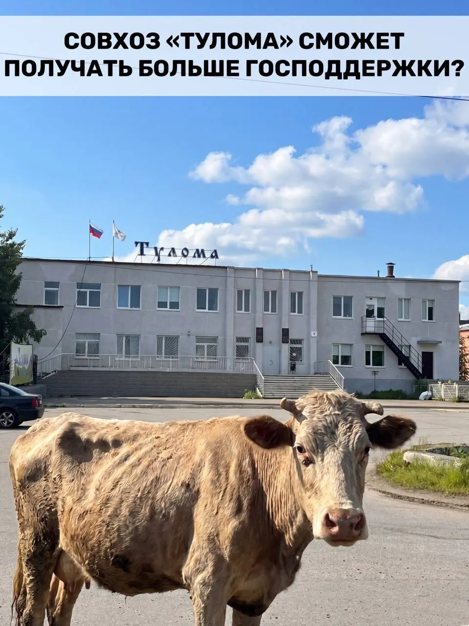 Федеральный критерий для выдачи субсидий расширили — теперь помощь положена и предприятиям, где более 25% принадлежит государству или муниципалитету. В Мурманской области это важно на фоне критического положения отдельных хозяйств.