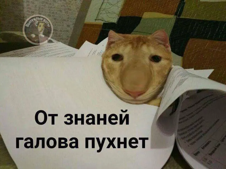 Министр спорта Михаил Дегтярев сообщил, что в этом году в тестовом режиме планируют ввести норматив по управлению небольшим дроном, а со следующего года по всей стране можно будет получить знак ГТО и до 10 баллов к результатам экзамена.