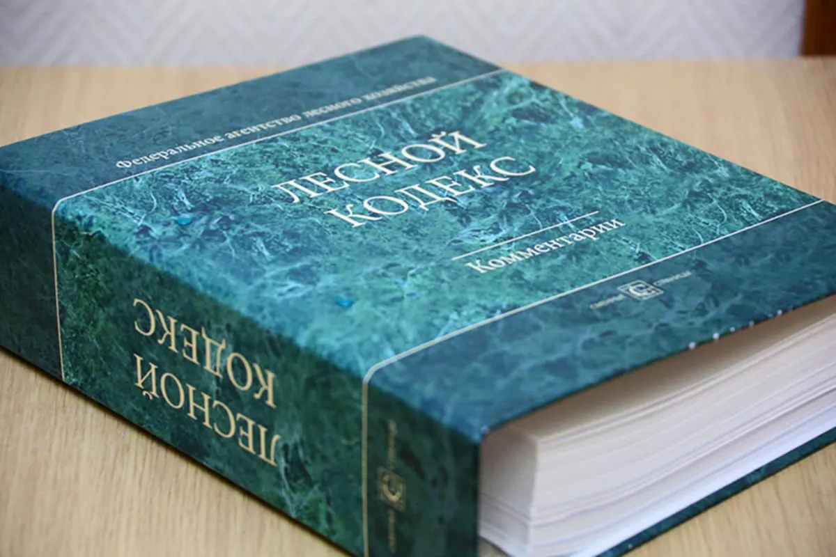 С 2006 года в Лесной кодекс внесли 79 пакетов поправок; последний пакет вступит в силу в сентябре. Эксперт по лесному хозяйству считает, что кодекс устарел и нуждается в полной замене на упрощённый и компактный документ.