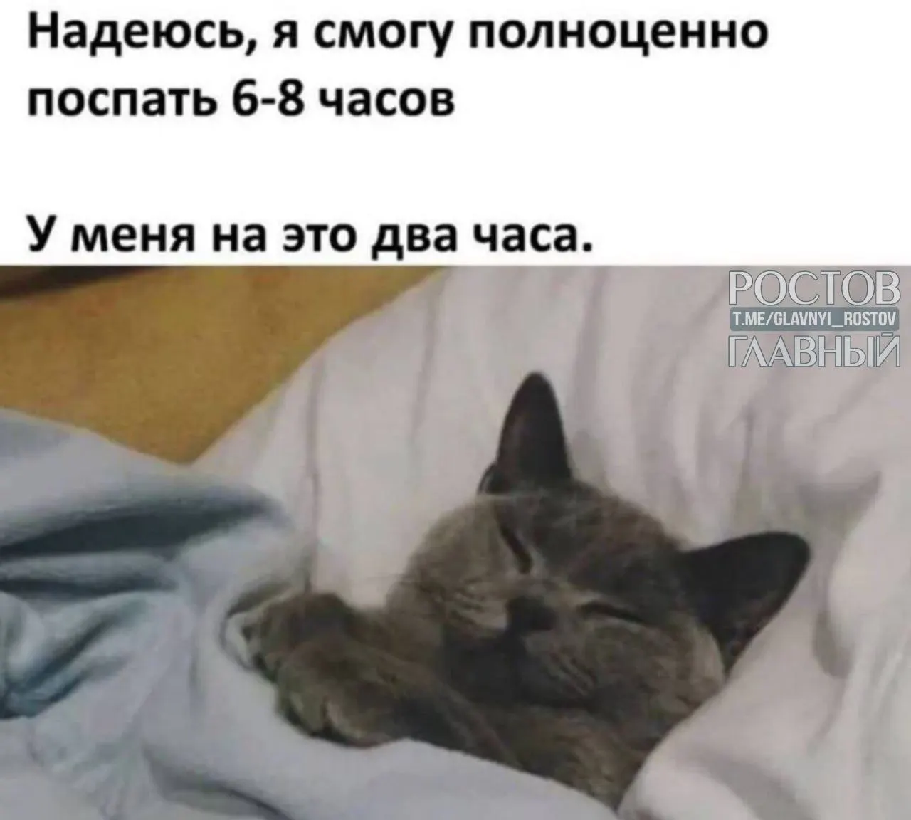 Путешественники предпочитают отели без интернета и мобильной связи — популярны Подмосковье, юг страны, Ленобласть, Кавминводы и Алтай.