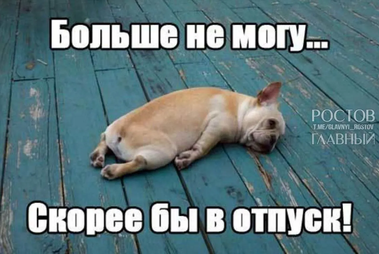 Депутаты предлагают поднять минимальную продолжительность оплачиваемого отпуска с 28 до 35 дней, чтобы компенсировать праздничные выходные и снизить риск профессионального выгорания.