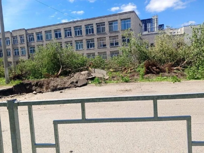 Рядом со школой №27 в центре Барнаула срубили яблони, растущие в охранной зоне теплотрассы — новые деревья обещают высадить в другом месте до конца лета.