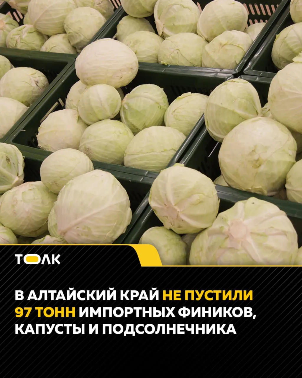 С 30 апреля по 3 мая в регионе проверили 24 машины с подкарантинной продукцией и не пропустили 97 тонн — капусту, подсолнечник и финики — из‑за отсутствия документов, несоответствия маркировки и проблем с сертификатами.