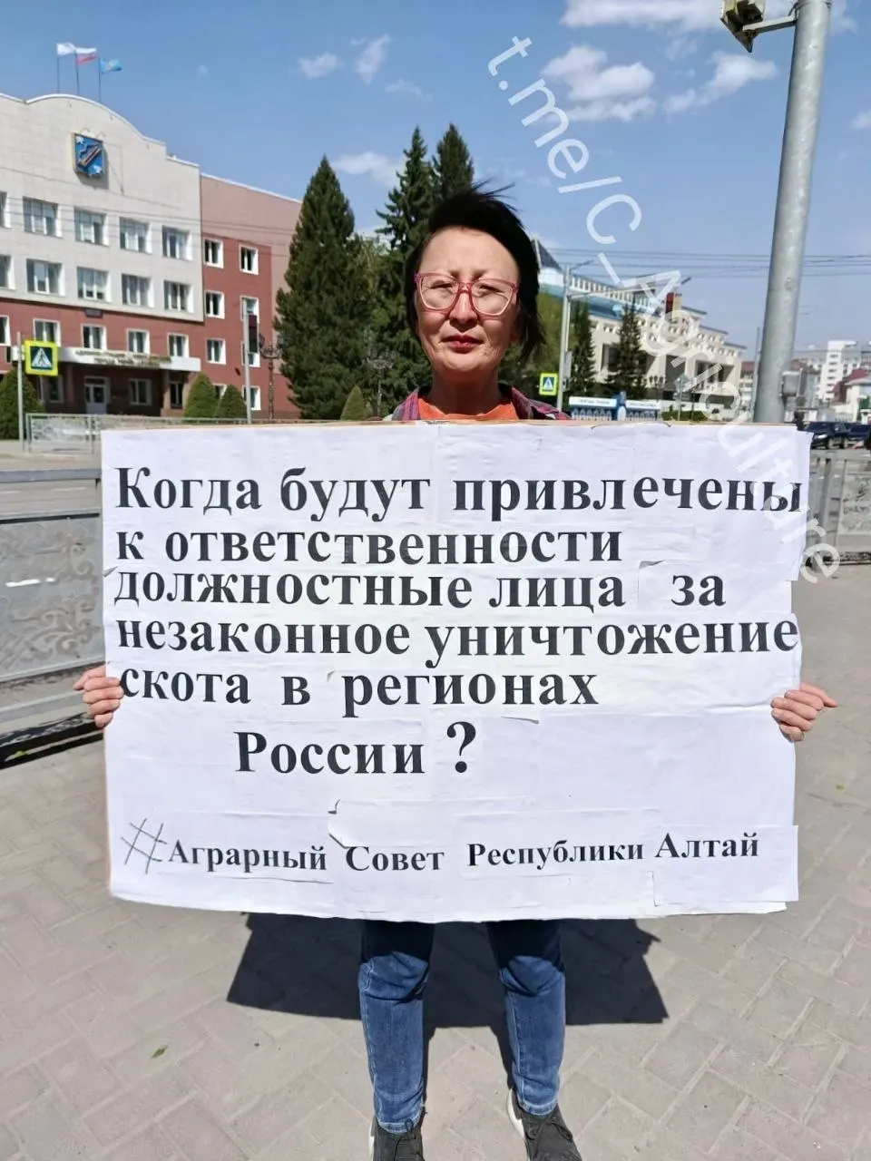 Жительница Республики Алтай вышла в одиночный пикет и потребовала привлечь к ответственности должностных лиц, которых обвиняют в незаконном изъятии и уничтожении сельскохозяйственных животных без карантинных распоряжений и лабораторных подтверждений.
