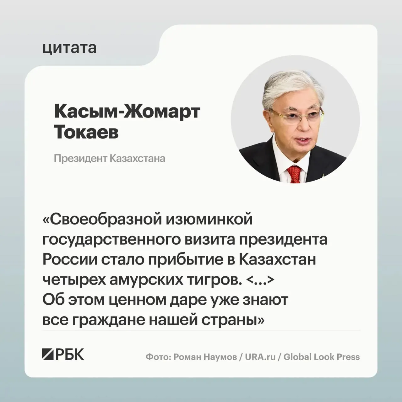 Казахстан обратился к России за помощью в восстановлении популяции амурского тигра. Москва откликнулась — животных передали и показали на презентации для лидеров двух стран.