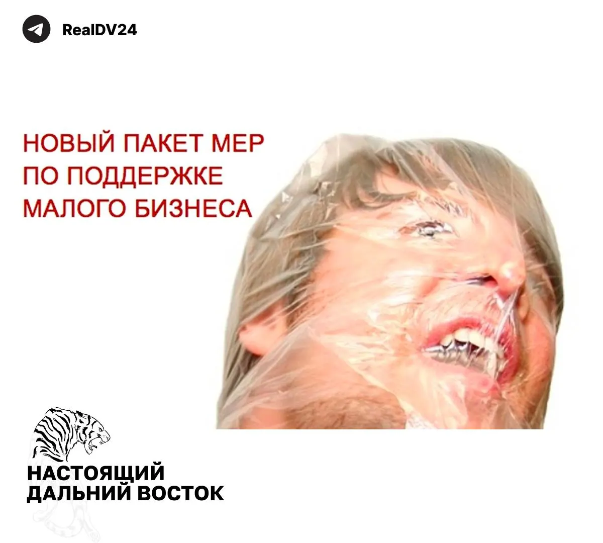 Федеральная налоговая служба направила регионам рекомендации по повышению налоговых поступлений: предлагается пересмотр ставок и льгот, а также расширение объектов налогообложения.