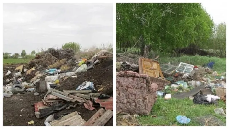 На сельхозземлях возле станции Смазнево в Заринском районе обнаружена свалка площадью более 4 тыс. м²; пробы почвы выявили превышение предельно допустимых концентраций меди, свинца и цинка, собственнику грозит предписание.