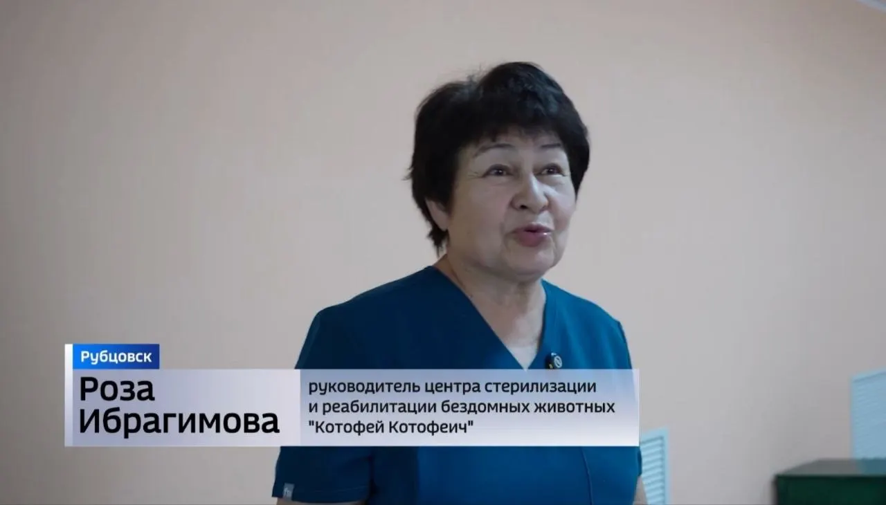 Супруги Роза и Хамит Ибрагимовы организовали в городе центр стерилизации и реабилитации «Котофей Котофеич». Благодаря гранту, волонтёрам и поддержке жителей центр за восемь лет помог сотням кошек и собак.