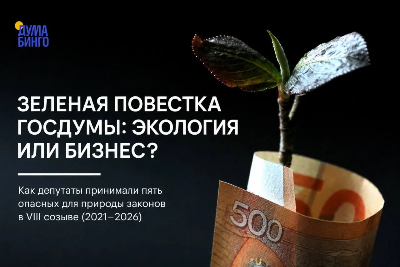 За последние годы парламент принял ряд законов и поправок, которые экологи называют опасными для природы: от ограничения общественной экспертизы до ослабления охраны заповедников и правил добычи редких видов.