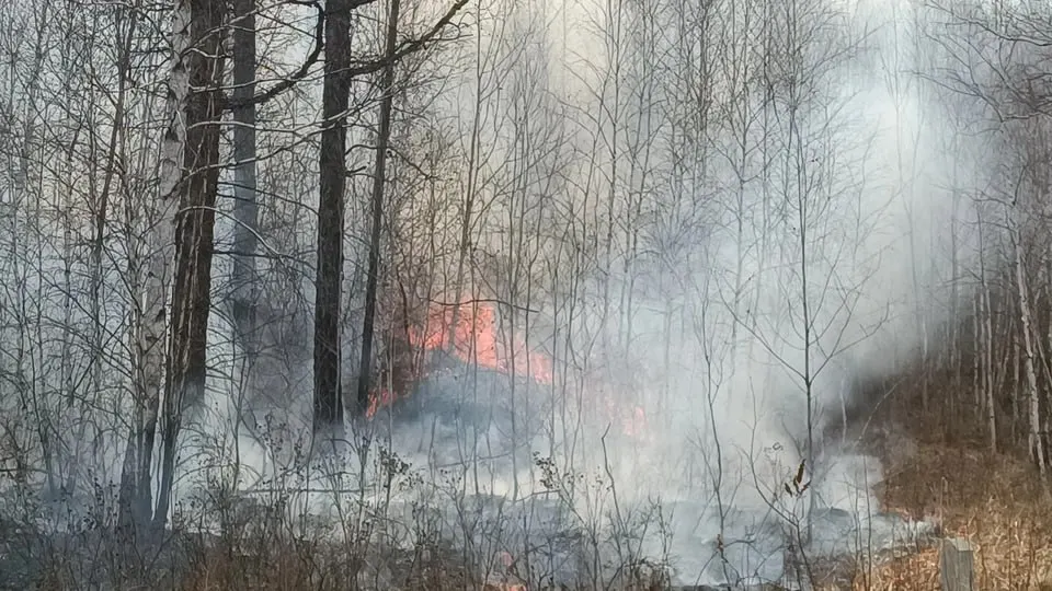 С 26 по 28 июня в регионе зарегистрировали 13 лесных пожаров, огонь прошёл по 32,2 га; к ликвидации привлекли людей и технику, а до 5 июля прогнозируют высокую пожароопасность.