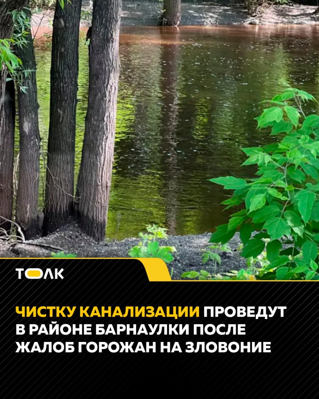 В&nbsp;Барнауле почистят канализацию у&nbsp;реки Барнаулки из‑за&nbsp;жалоб на&nbsp;запах