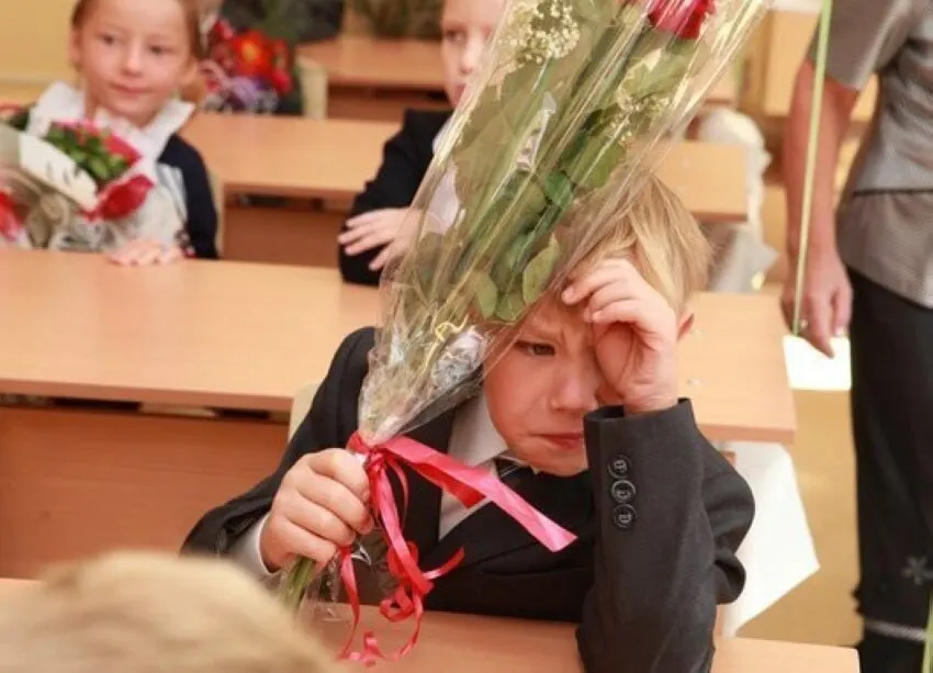 Заместитель министра образования сообщил, что 11‑летняя модель обучения считается оптимальной; сокращать или увеличивать её не планируют, а все стандарты будут вводить с учётом этой структуры.