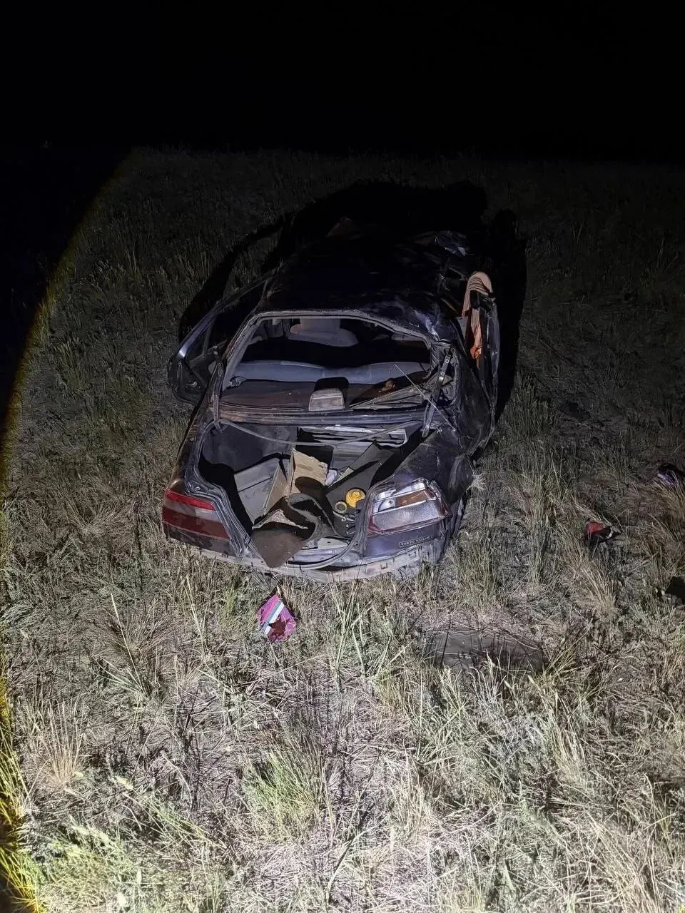 Поздно вечером 21 июня автомобиль съехал в кювет и перевернулся — водитель погиб до приезда медиков, пятеро пассажиров, в том числе двое детей, получили травмы.
