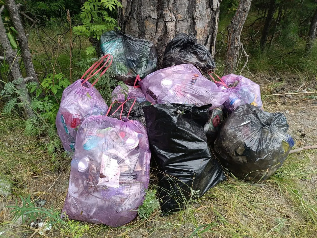 Жители собрали несколько мешков с пластиковыми и стеклянными бутылками, упаковками, пачками сигарет и влажными салфетками и призвали отдыхающих убирать за собой.