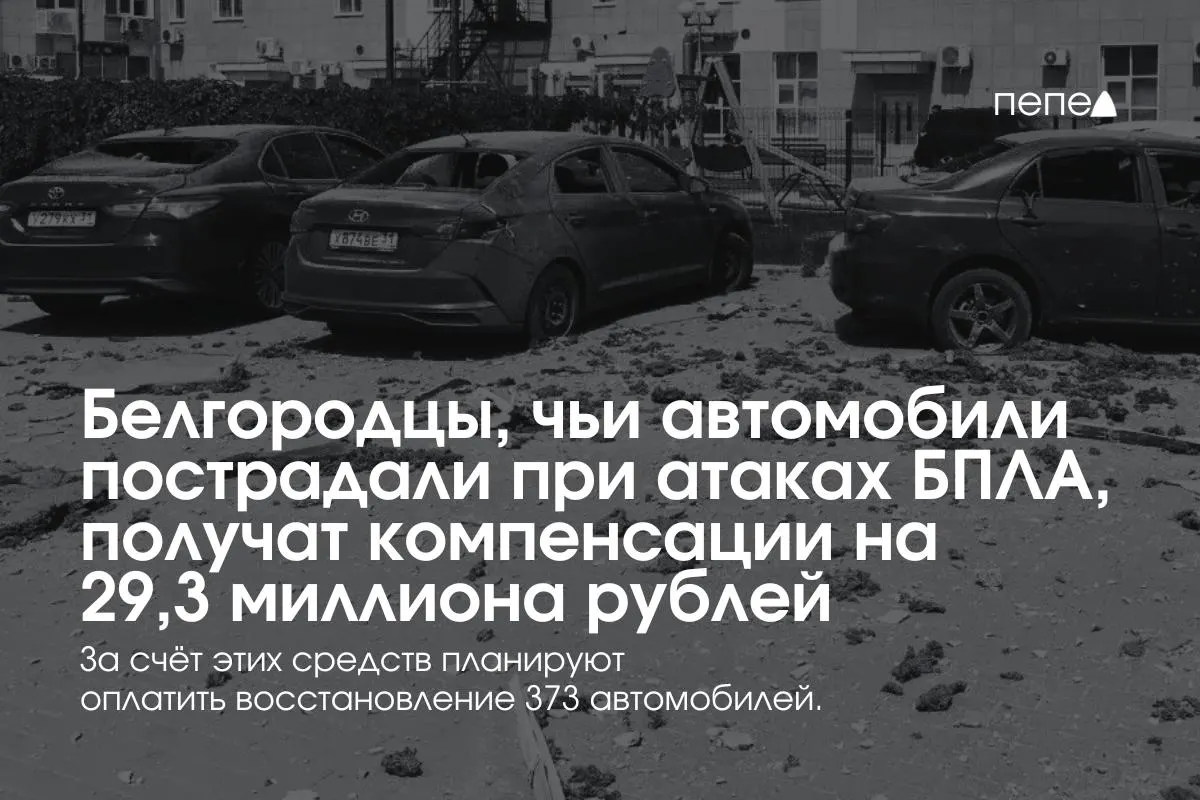 Власти сообщили о выделении 29,3 млн рублей: выплаты получат 373 владельца автотранспорта, первые перечисления уже начались.