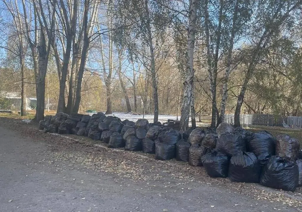 Город ищет подрядчика для обслуживания 11 участков возле административных зданий с начальной ценой контракта 12,5 млн рублей на период с января 2027 по апрель 2028 года.