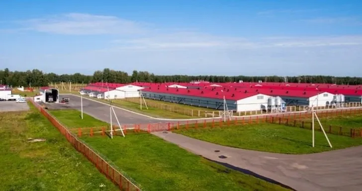 Предприятие подало иск к управлению ветеринарии Алтайского края: ущерб от принудительного изъятия поголовья оценивают в 608 млн рублей. На комплексе ввели 90‑дневный карантин, производство остановлено.