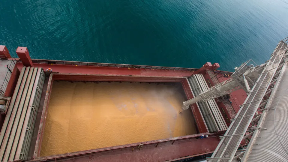 Актив, который ранее экспортировал более 11 млн тонн зерна в год, приобрело малоизвестное АО «Тиара Холдинг». По отраслевым данным, фактическим бенефициаром может быть холдинг «Деметра» с участием инвестиционного фонда Омана.