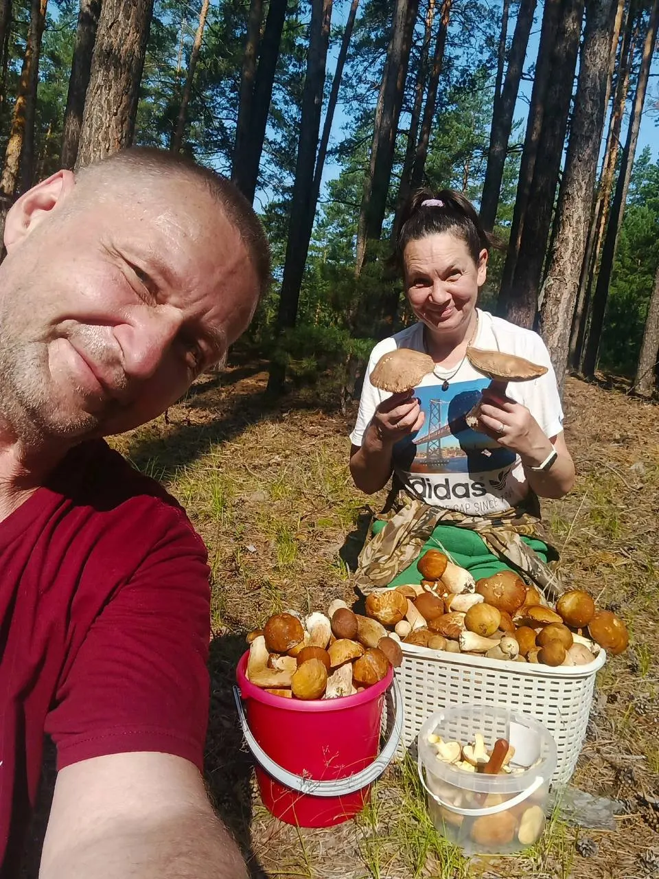 В лесах Барнаула и соседних районов края начали находить белые грибы, лисички и грузди: пока урожай смешанный — есть чистые экземпляры, но встречается и червивость.