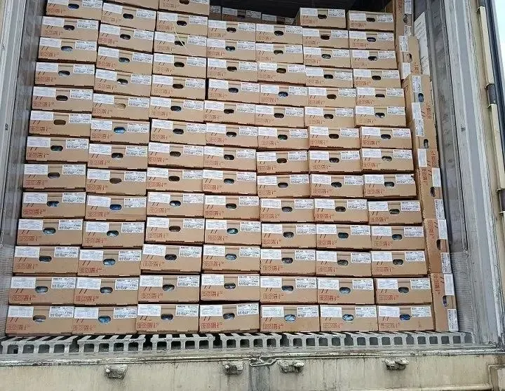 Две партии куриных лапок весом около 54 тонн прошли ветеринарную проверку Россельхознадзора и получили необходимые сертификаты перед отправкой во Вьетнам.
