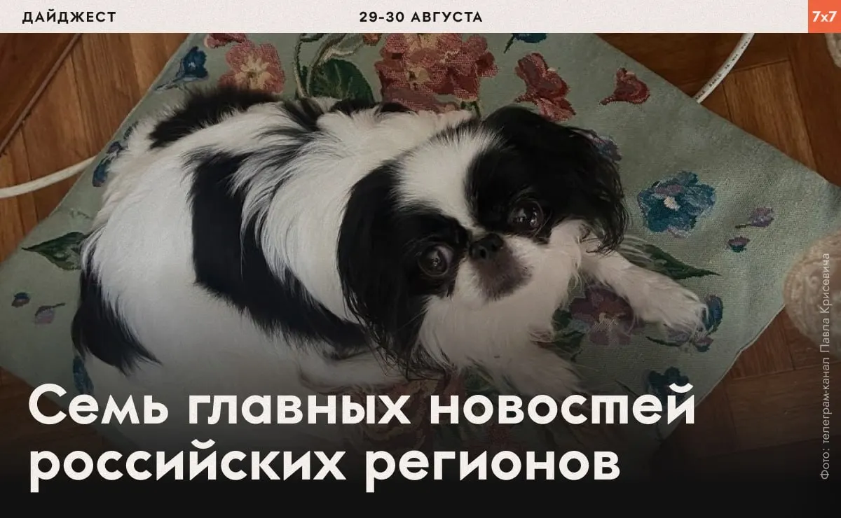 Задержания, давление на активистов и региональные запреты по России — обзор последних событий.