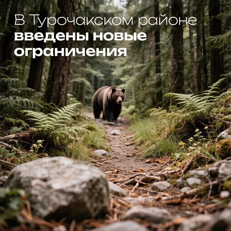 До конца сентября сохраняются ночные запреты на пребывание в населённых пунктах и окрестностях лесов в Турочакском районе после инцидента с туристкой из Новосибирска в Артыбаше; учебный процесс адаптируют.