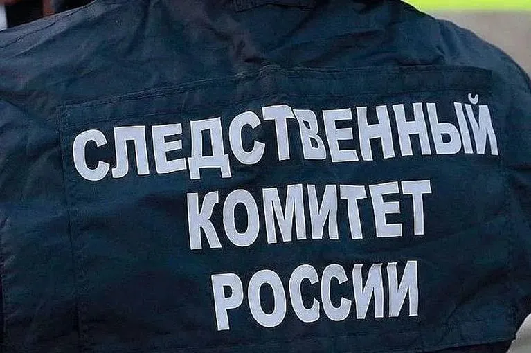 Руководитель Следственного комитета потребовал доложить о ходе расследования инцидента в парке развлечений «Арлекино» в Барнауле; возбуждено уголовное дело об оказании услуг, не соответствующих требованиям безопасности детей.