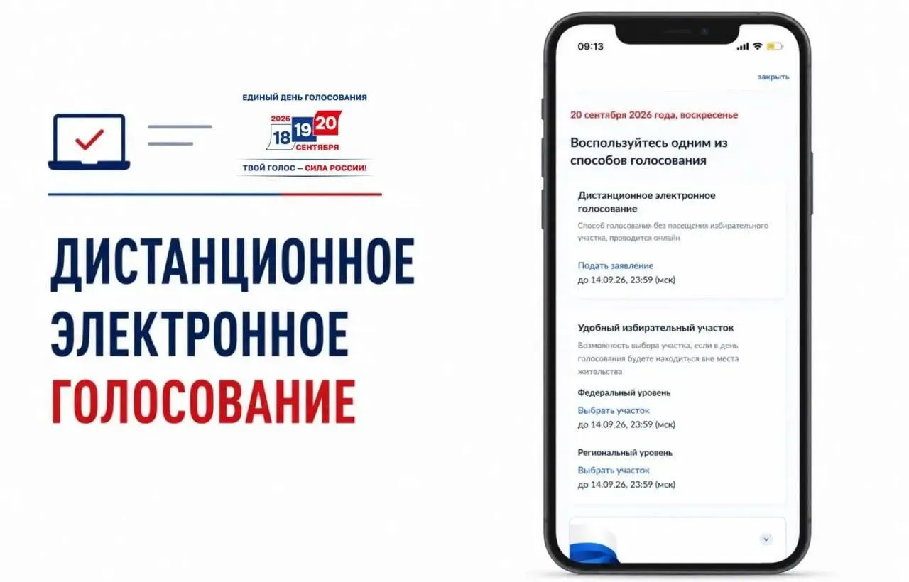 Критики считают ДЭГ сомнительной системой с непрозрачным механизмом; разбор рисков и споров вокруг голосования.