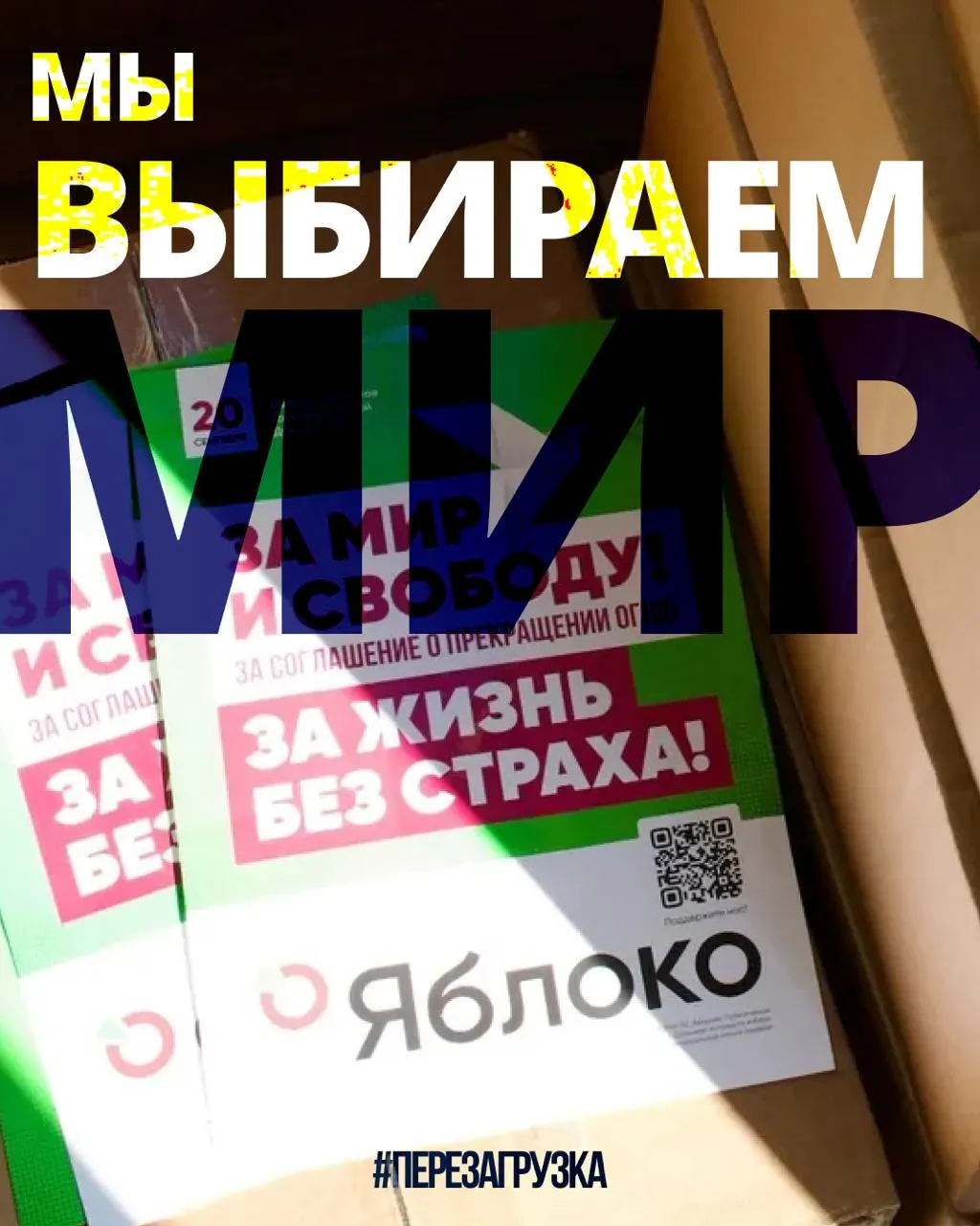 135 кандидатов в 53 регионах участвуют в кампании; на карте можно выбрать регион и увидеть поддержку за мир и свободу.