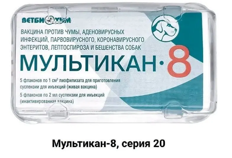 Жители требуют объяснений после гибели собак после прививки вакциной «Мультикан-8»; ситуация требует проверки и прозрачности.
