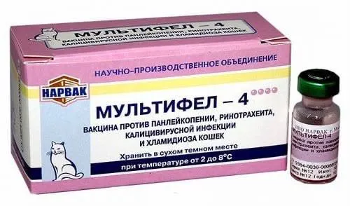 После вакцинации вакциной для животных зафиксированы гибель собак и тяжелые реакции у котят; жалобы поступают по стране.