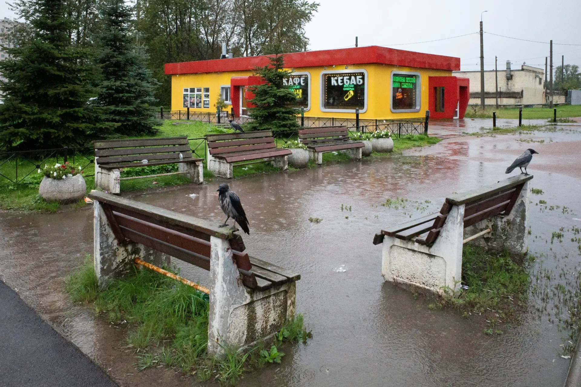 Коротко: в Петербурге завершился развод экс-депутата Закса Резника и Ксении Казариной; в России обсуждают аукцион книги и политические дела; в мире фиксируются новые события: граница Финляндии, атаки в Севастополе и Херсоне.