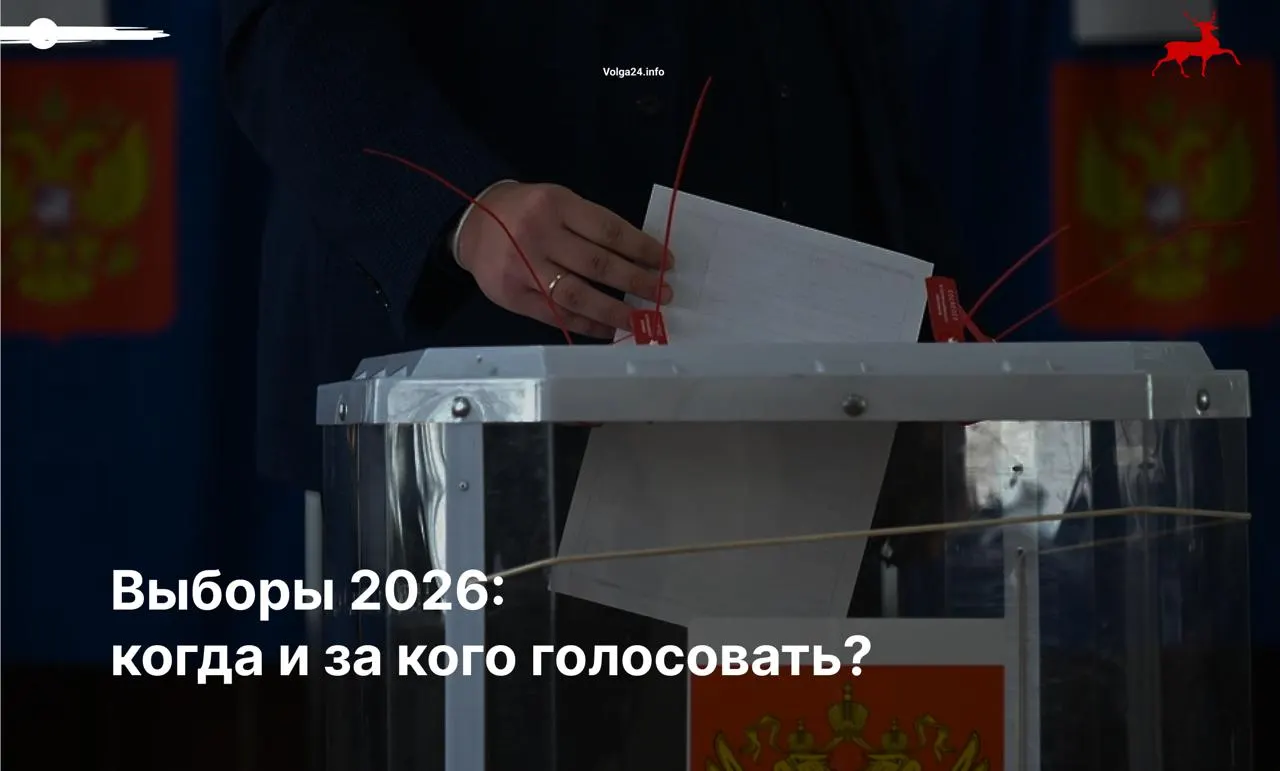Коротко о рекомендациях по голосованию и что делать при нарушениях на выборах.