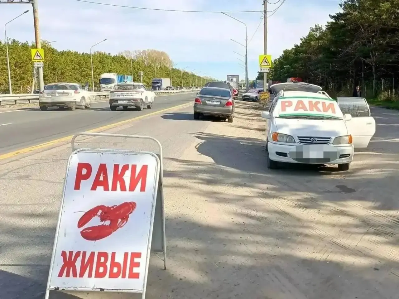 Администрация Центрального района Барнаула обсудила меры против нелегальной уличной торговли на въезде в город; будут проводиться рейды, составляться протоколы и усиливаться взаимодействие с полицией.