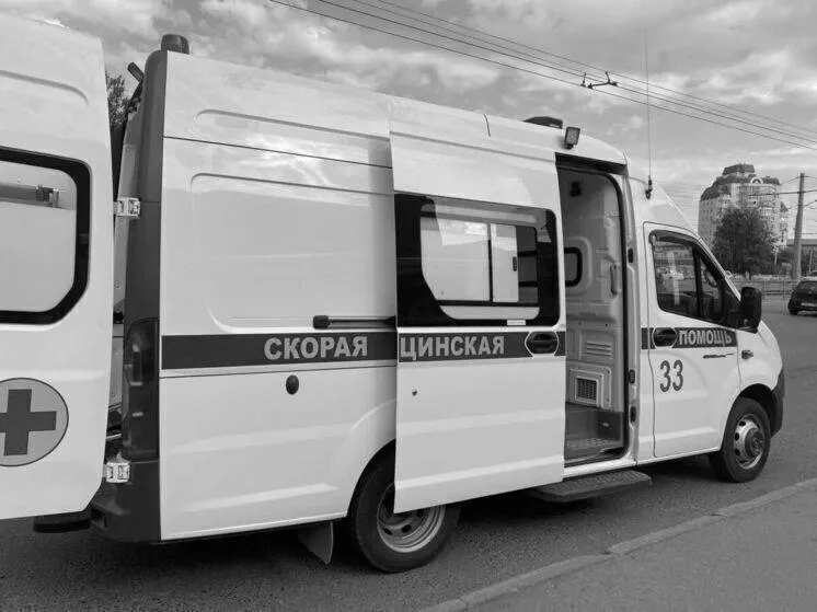 На 27-м километре трассы Павловск — Камень-на-Оби — граница Новосибирской области столкнулись Toyota Town Ace и Tenet T8. Погиб 44-летний пассажир Toyota, еще двое пассажиров госпитализированы; водитель Tenet получил помощь на месте.