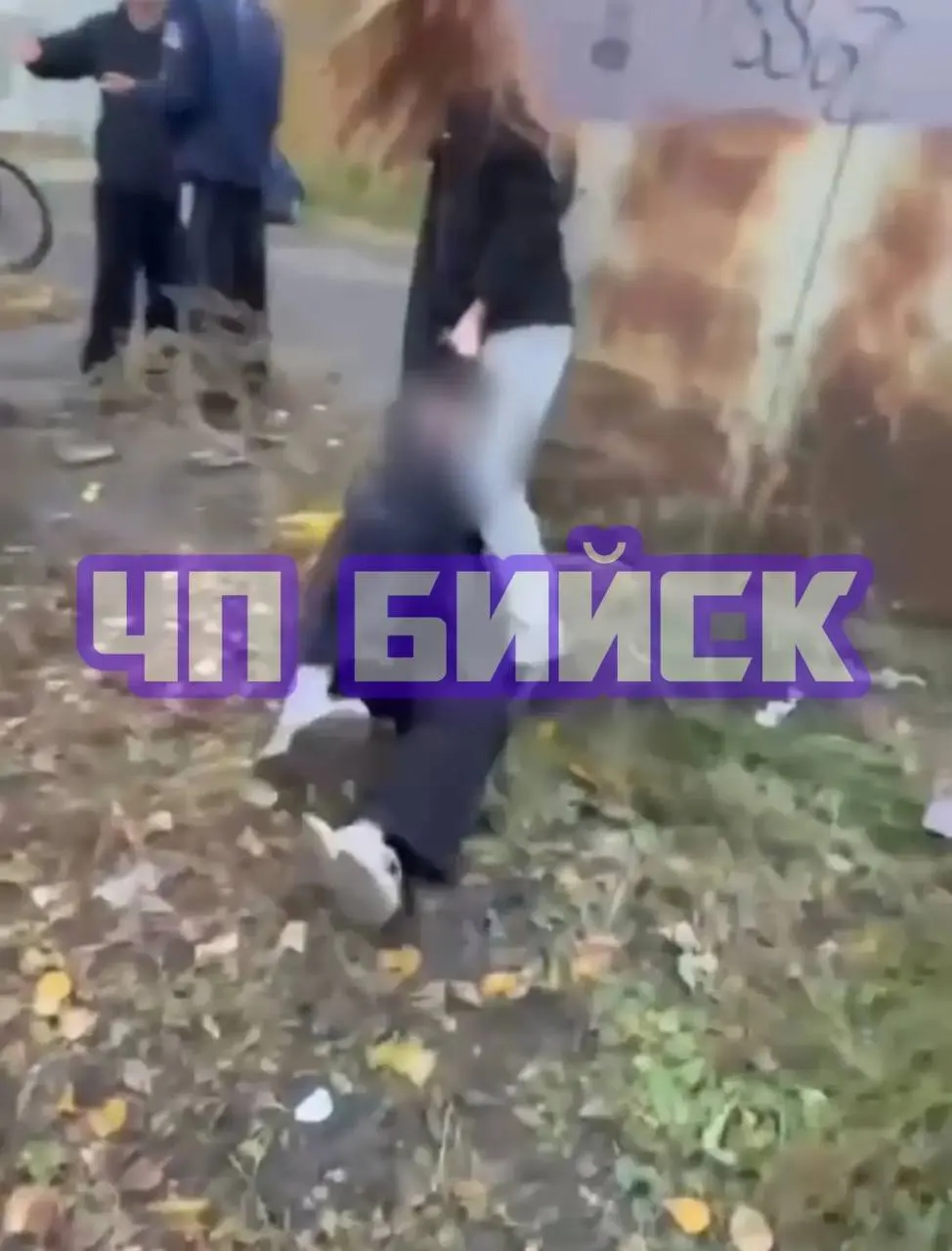 После появления видеороликов в соцсетях о избиении школьницы в Бийске возбудили уголовное дело по статье хулиганство. Следственные органы и прокуратура устанавливают обстоятельства происшествия.