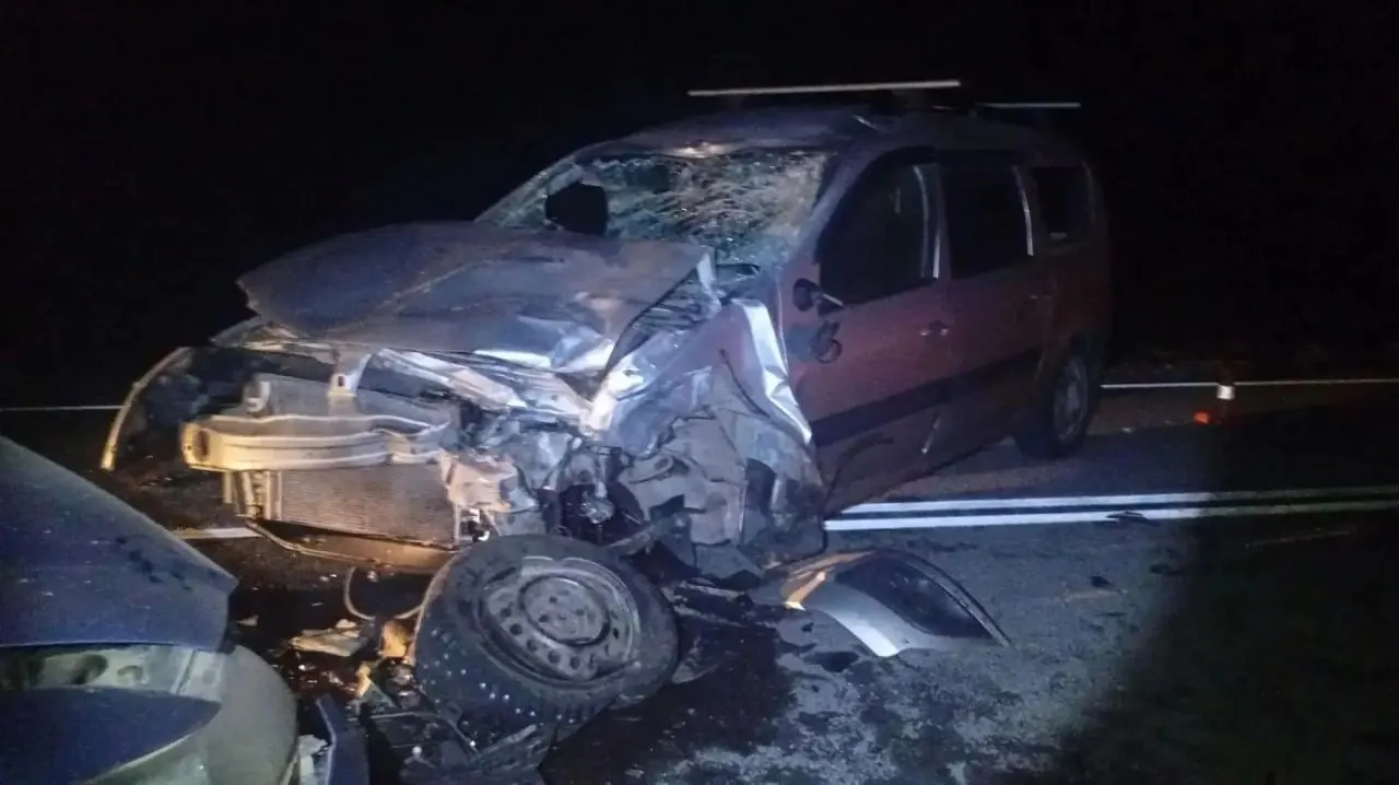 Лошадь выбежала на дорогу в окрестностях Белого Бома, водитель «Лада Ларгус» сбил животное и выехал на встречную полосу, где столкнулся с Honda Accord. Пострадавшие — водитель, его жена и годовалый ребёнок — доставлены в больницу; госпитализация не потребовалась. Расследование проводится.