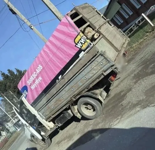 Транспортировку без ветеринарных документов остановили сотрудники надзорных органов и полиция; животных вернули по месту отправления, рассмотрение административного дела по перевозке продолжается.
