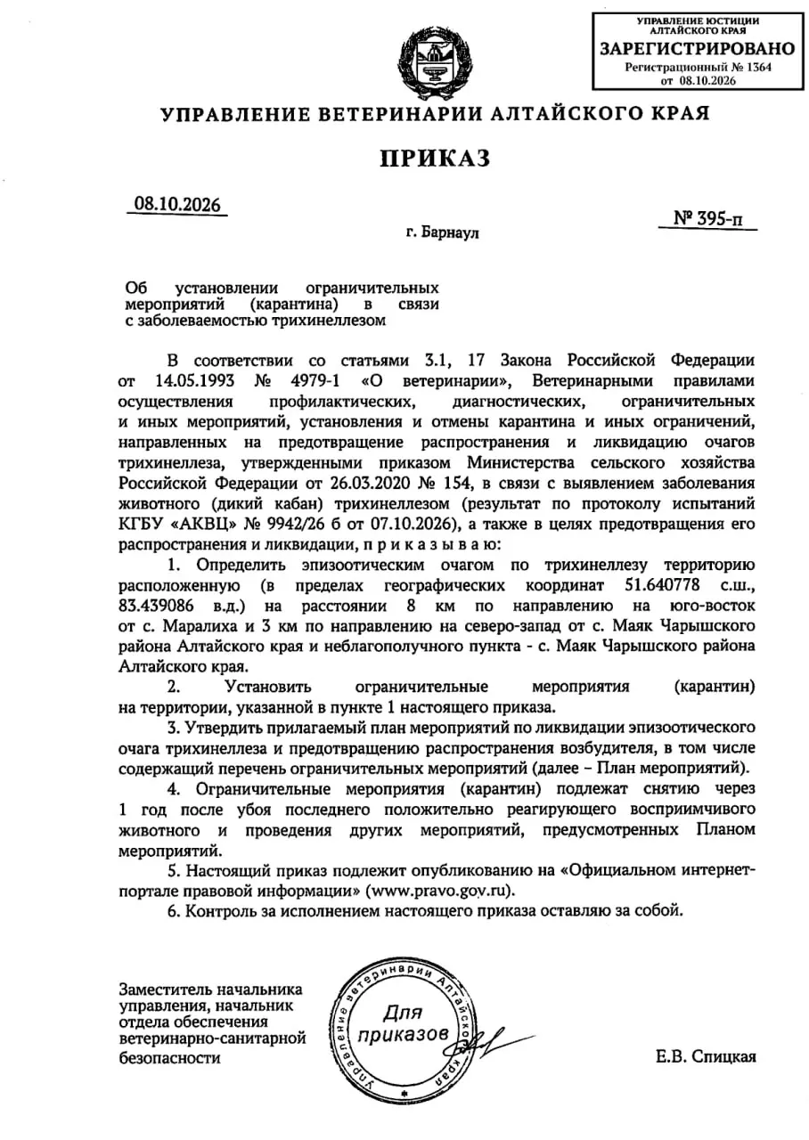 В Чарышском и Усть-Пристанском районах Алтайского края введён карантин из‑за очагов трихинеллеза; планируется дезинфекция, взятие проб и другие меры. Ограничения планируют снять через год.