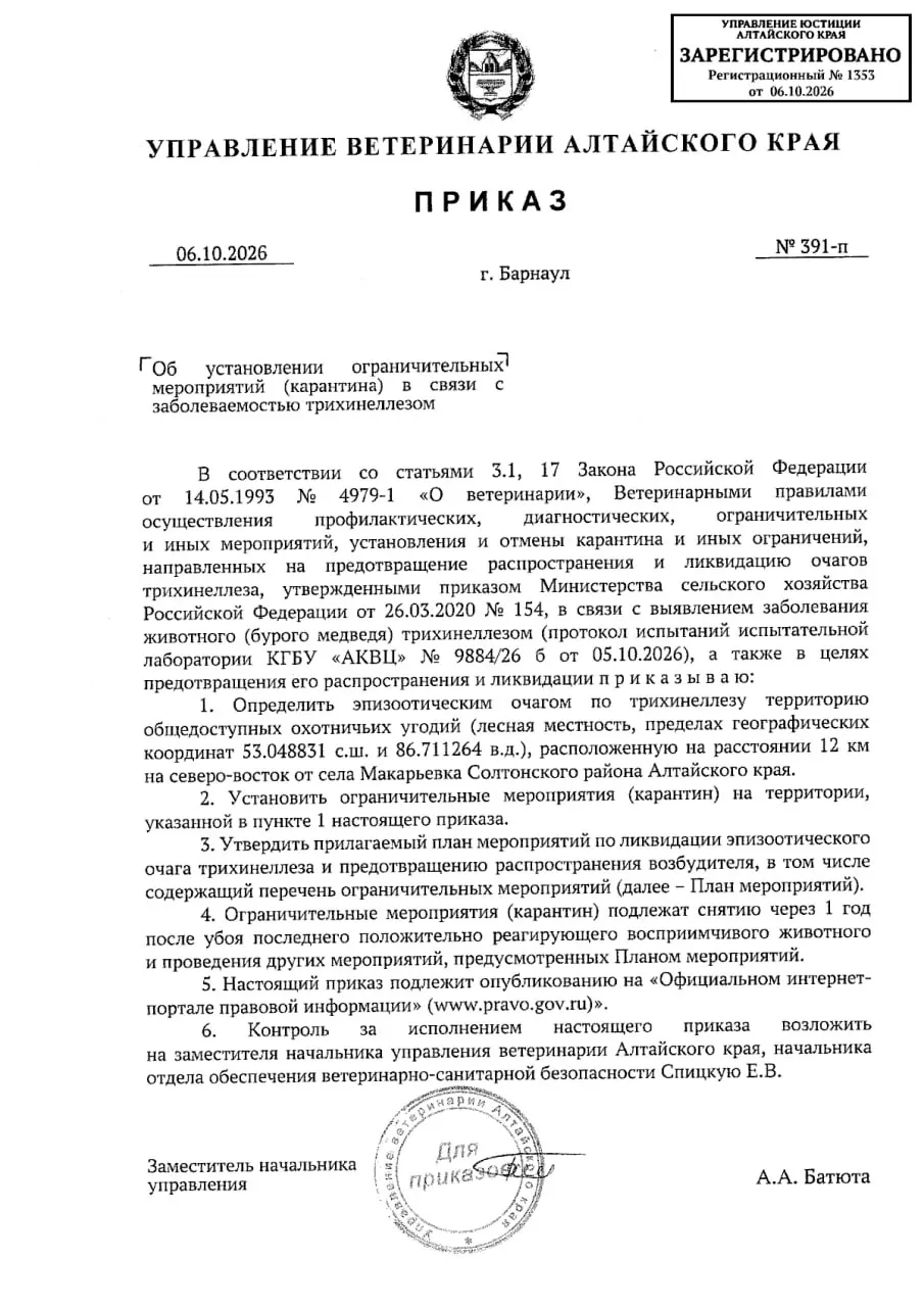 В Солтонском районе Алтайского края обнаружен очаг трихинеллеза: запрет на охоту, ограничение вывоза кормов и продуктов убоя, пробы и дезинфекция — карантин продлится год.