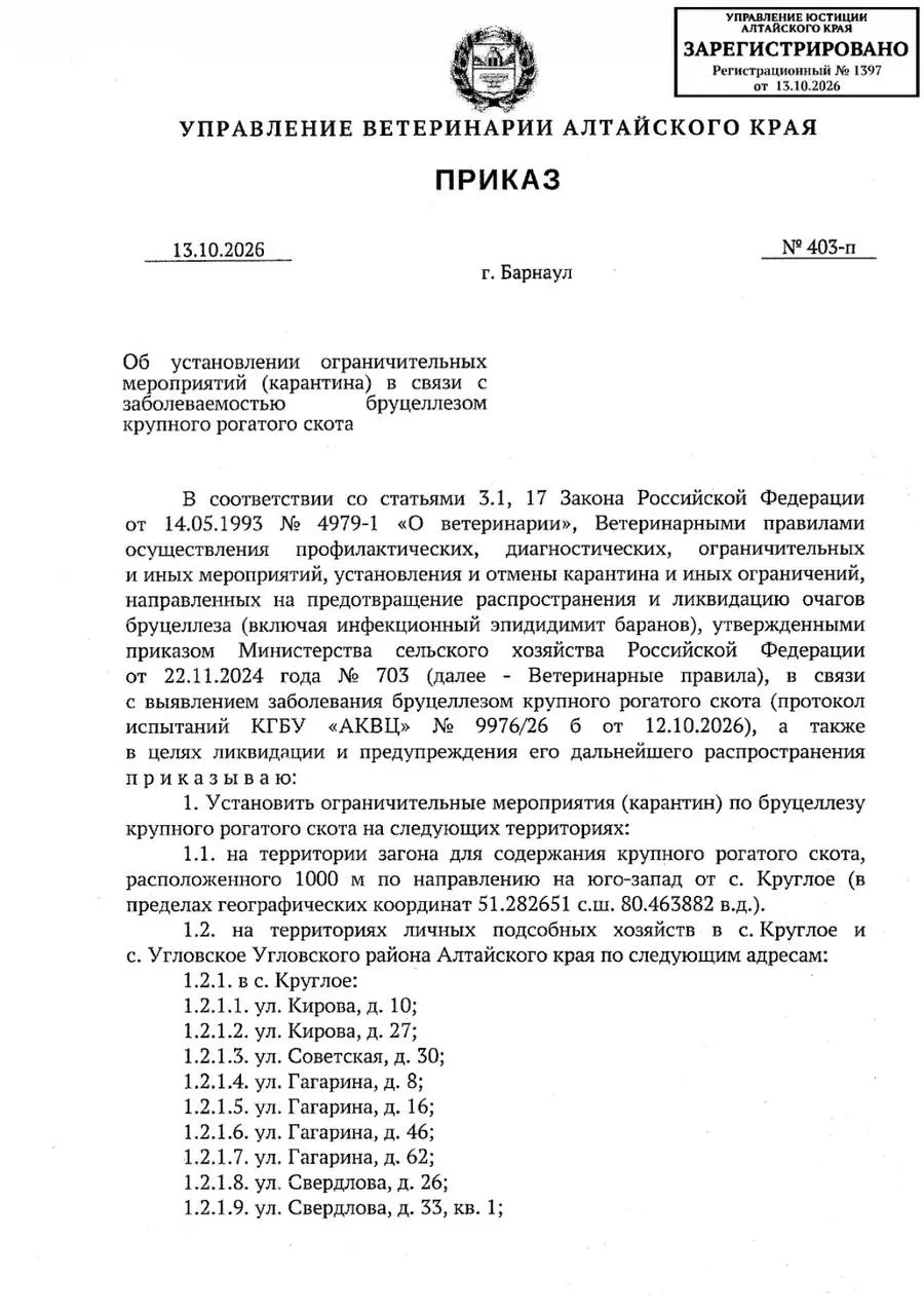 В Алтайском крае объявлен карантин из‑за выявленного бруцеллеза крупного рогатого скота. Ограничения затрагивают 13 личных подсобных хозяйств и соседний скотный двор; запреты на лечение, перемещение и молочную продукцию без термообработки. Снятие карантина возможно после усыпления последнего больного животного.
