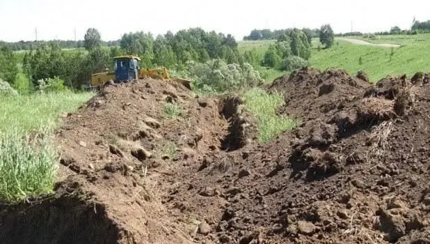 Четверо жителей Барнаула обвиняются в хищении более 4,4 тысячи тонн чернозёма; ущерб оценивается примерно в 1,6 млн рублей. Дело направлено в суд.