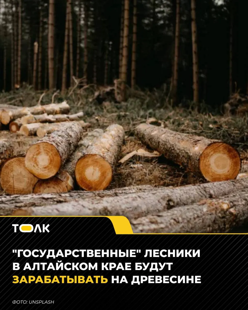 Лесные учреждения региона смогут реализовывать спелую и перестойную древесину. Вырученные средства направят на охрану, защиту и восстановление лесов.
