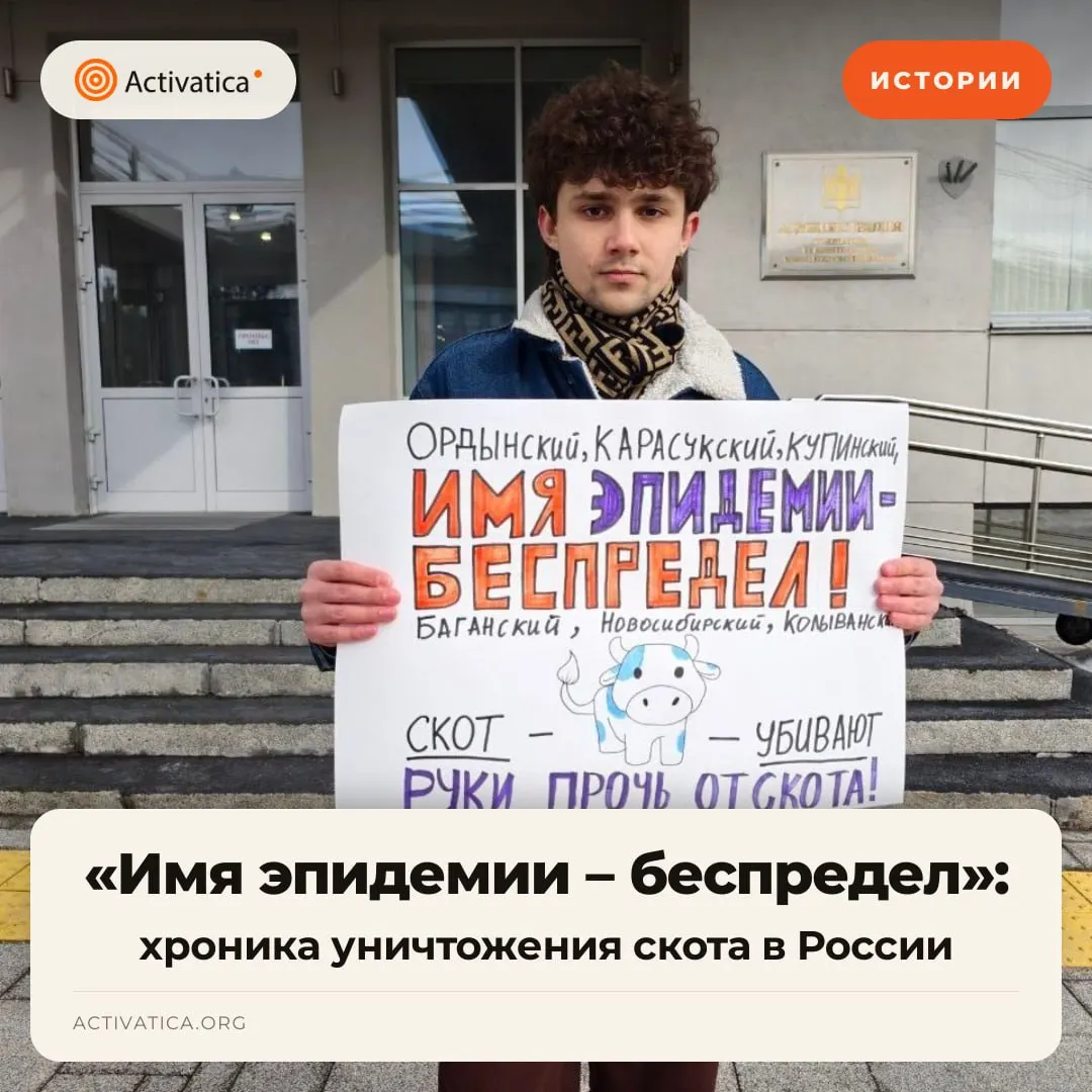За январь–сентябрь 2026 года в частных хозяйствах зафиксированы случаи уничтожения скота под предлогом эпизоотий в нескольких регионах. Это спровоцировало массовые протесты, штрафы и уголовные дела против фермеров.