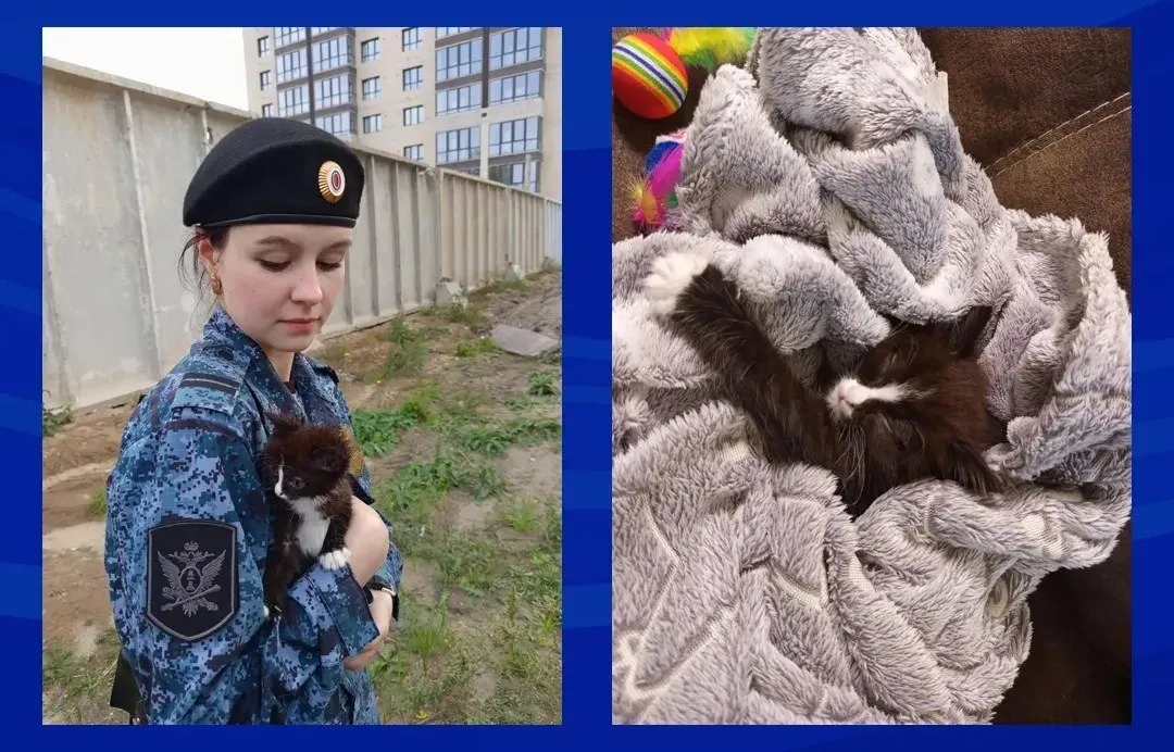 Младший судебный пристав из Топчихинского района услышала писк во дворе и нашла дрожащего котёнка среди строительного мусора; позже малыш получил новый дом.