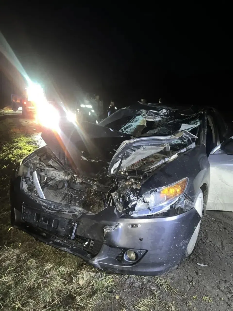 22-летний житель села Балыкча на Honda Accord наехал на корову на проезжей части возле Черги; водитель госпитализирован с черепно-мозговой травмой и сотрясением мозга, материалы переданы в администрацию района для решения вопроса об ответственности.